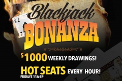Art for a Blackjack promo. Used in collateral, signage and advertising.