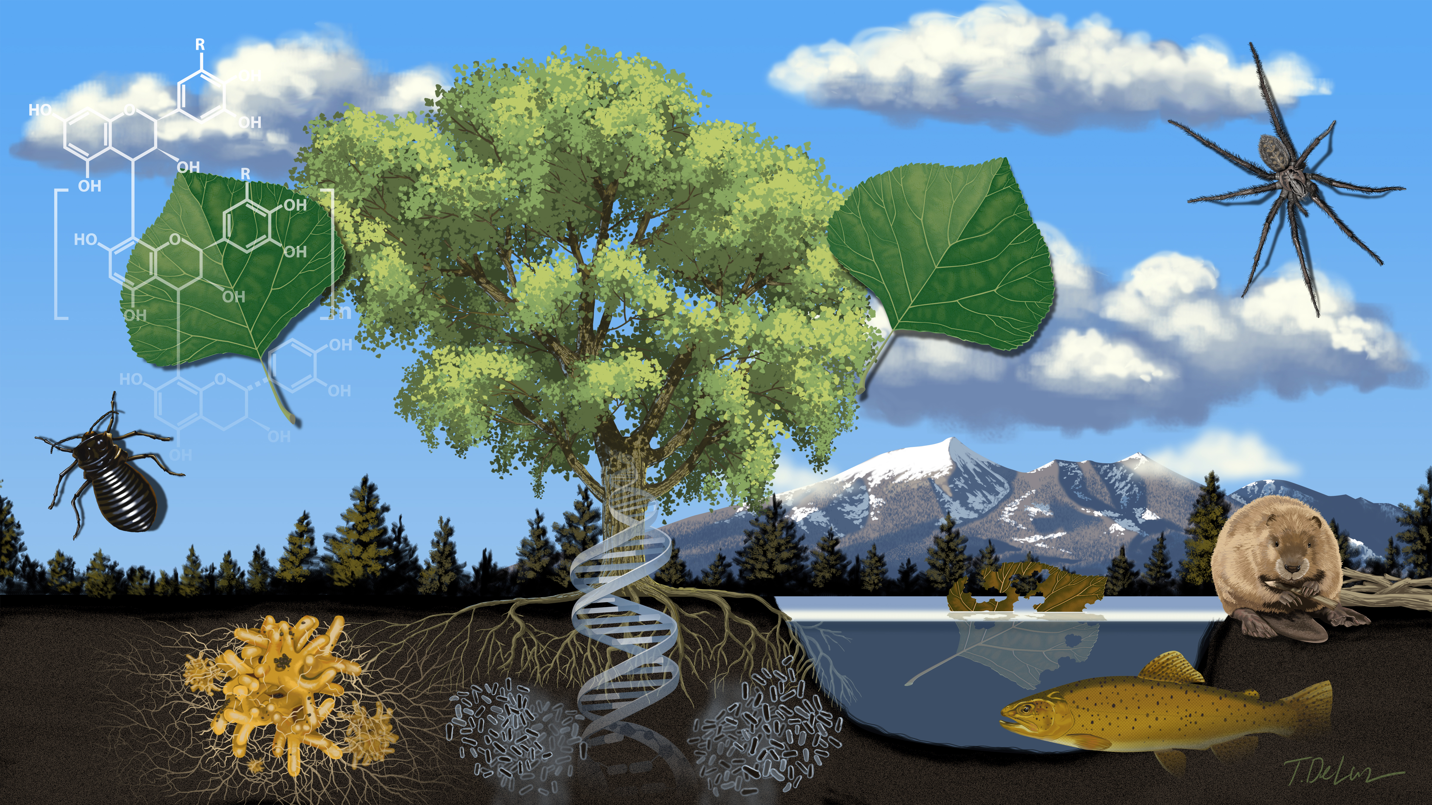 Illustration showing DNA and an ecosystem. Painted in Photoshop.