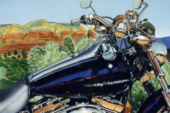 Sedona Softail, collection of the artist.